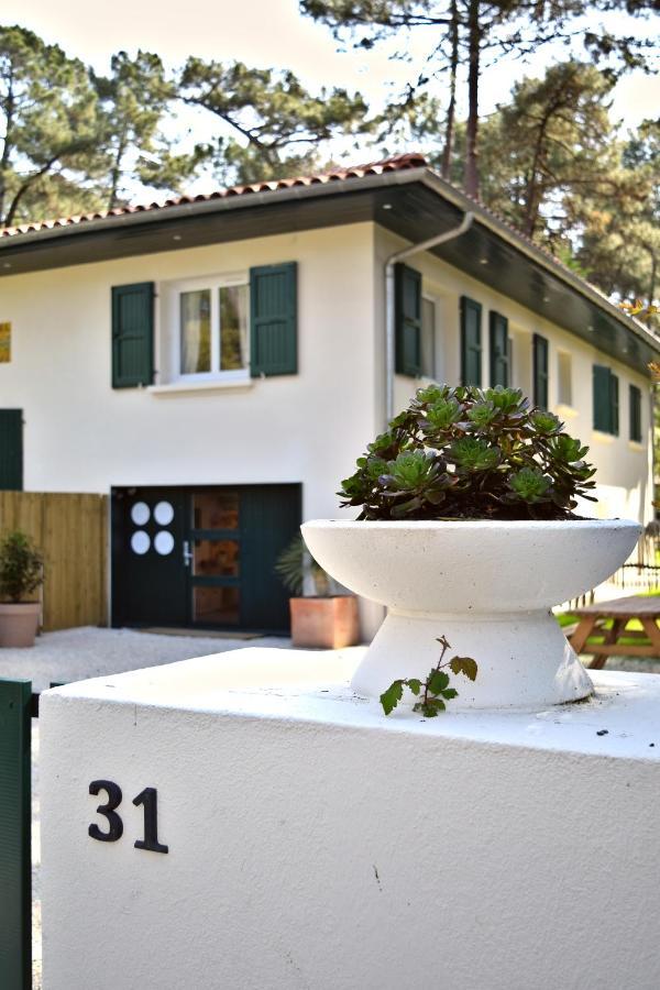 סורטס הוסגור Julia Blue, Villa Hostal Naou Hossegor - Sauna - Salle De Sport - Wifi - Netflix מראה חיצוני תמונה
